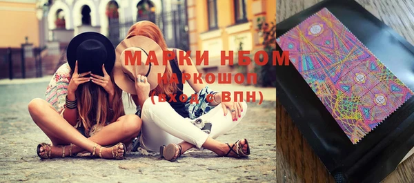 прущий лед Богданович