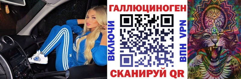 Псилоцибиновые грибы Psilocybe  Бежецк 